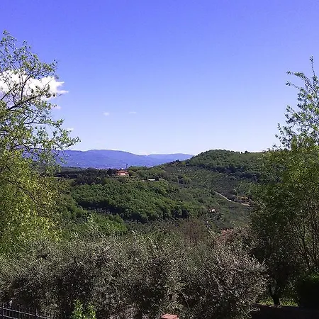 Sole